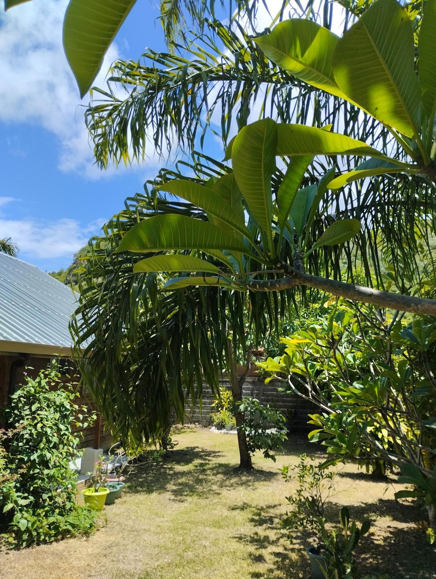Tema'E Beach House Temae Exterior photo